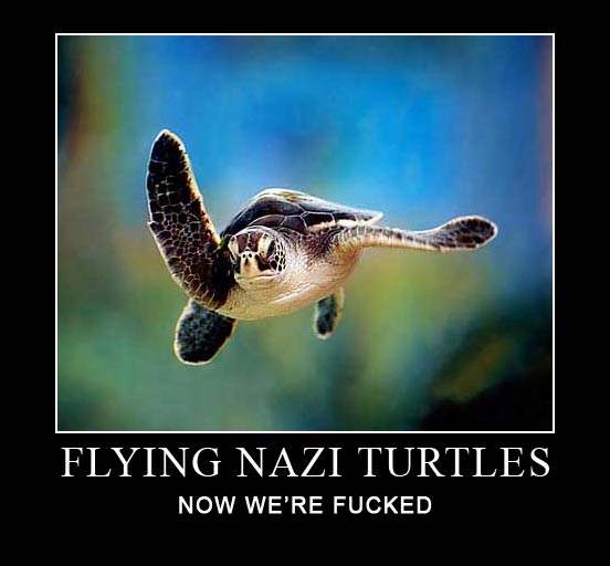 Obrázek nazi turtles