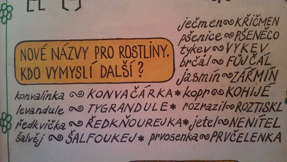 Obrázek nazvy rostlin -- 