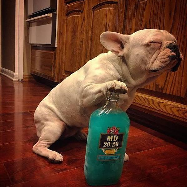 Obrázek ne&nbsp;ne&nbsp;radeji&nbsp;knihu