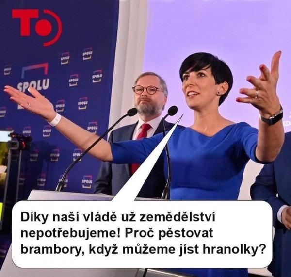 Obrázek nebetycna pica