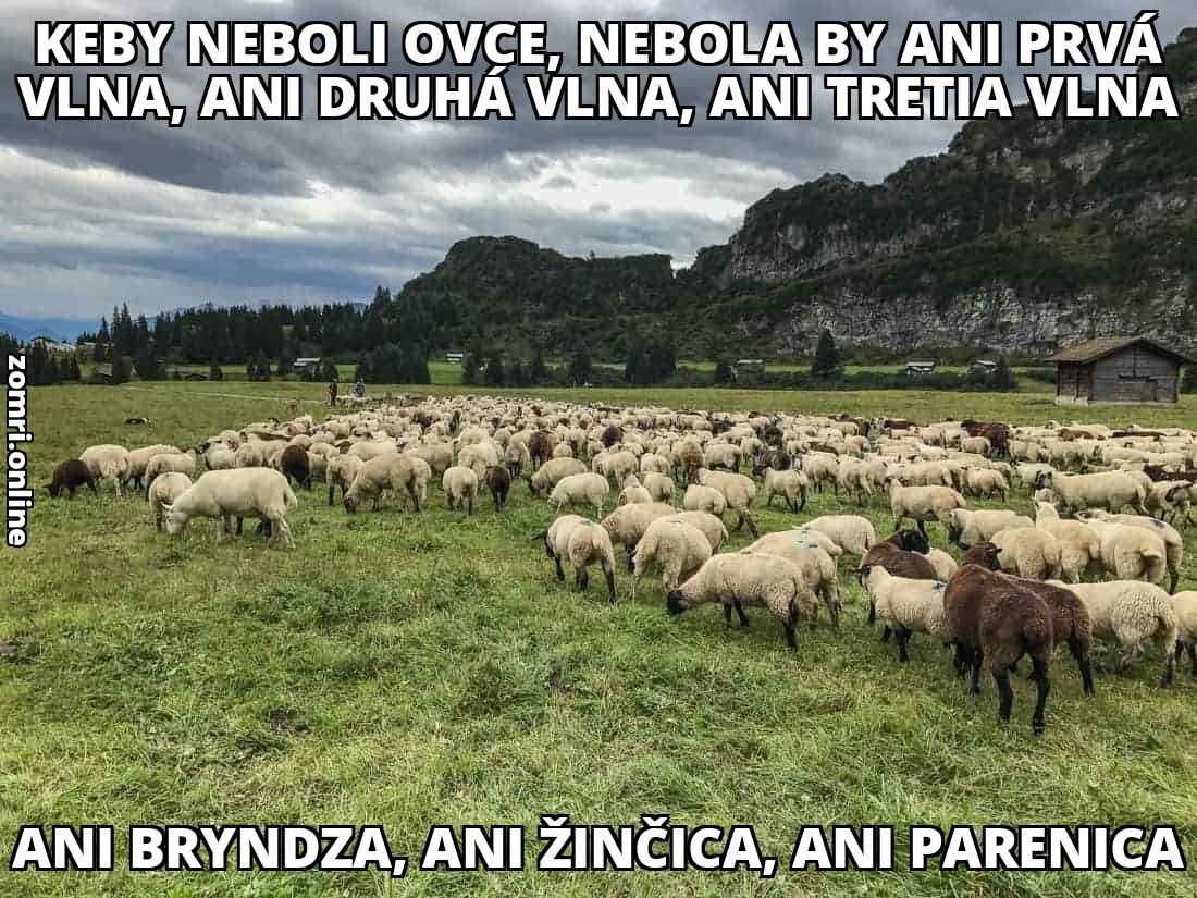 Obrázek nebud ovca  nerob vlny