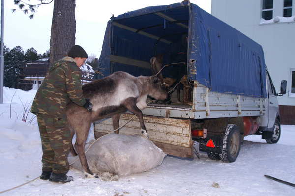 Obrázek neco nevysvetlis