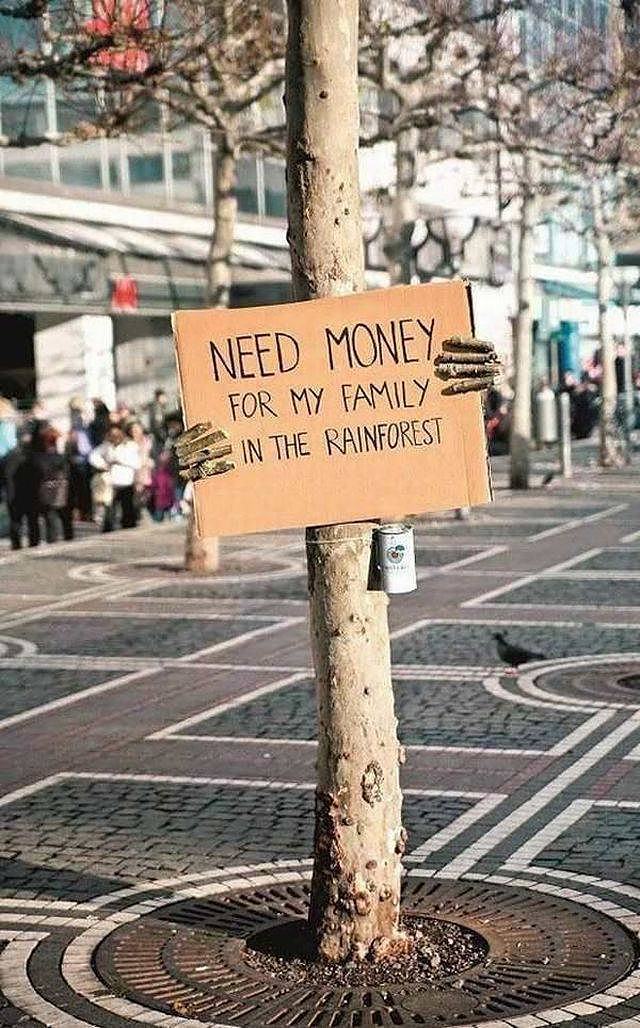 Obrázek need money-rainforest