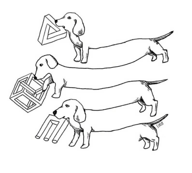 Obrázek nejaky divny pesik   