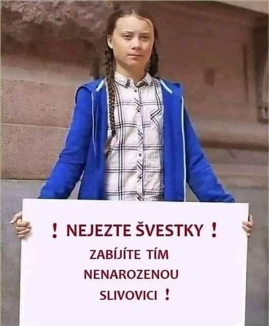 Obrázek nejezte svestky