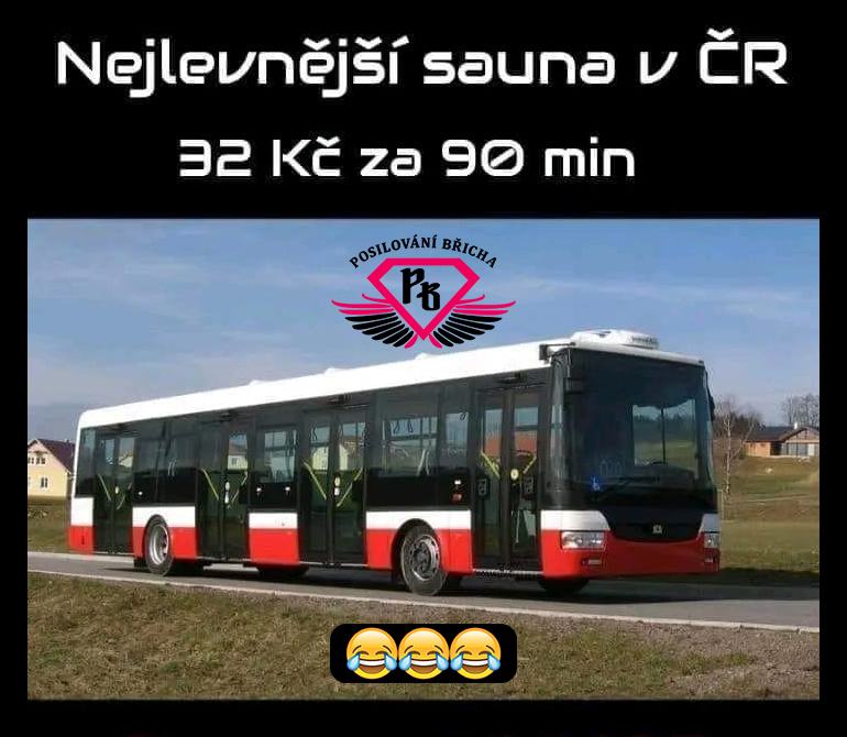 Obrázek nejlevnejsi sauna v CR i SR