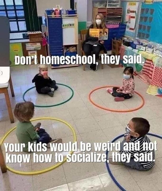Obrázek nejsilnejsi argument proti homeschoolingu byl ze to z deti udela asocialy