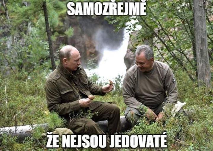 Obrázek nejsou jedovate