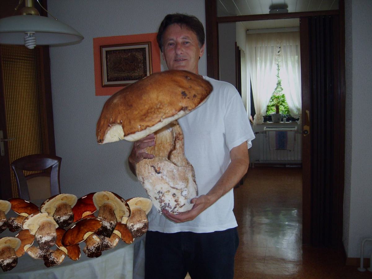 Obrázek nejtrapnejsi fake roku