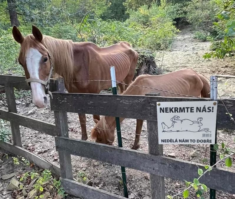 Obrázek nekrmte-nas
