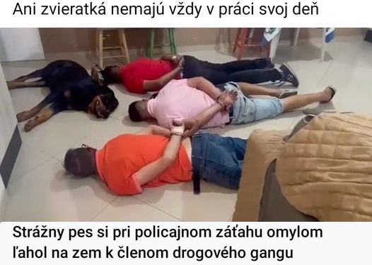 Obrázek nemal svoj den