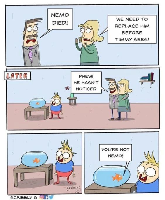 Obrázek nemo died