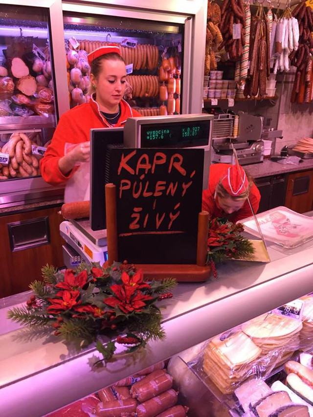 Obrázek nemrtvy kapr