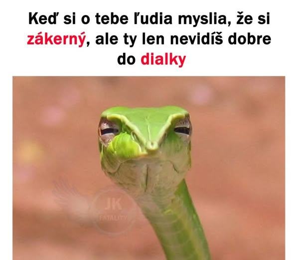 Obrázek neni zakerny