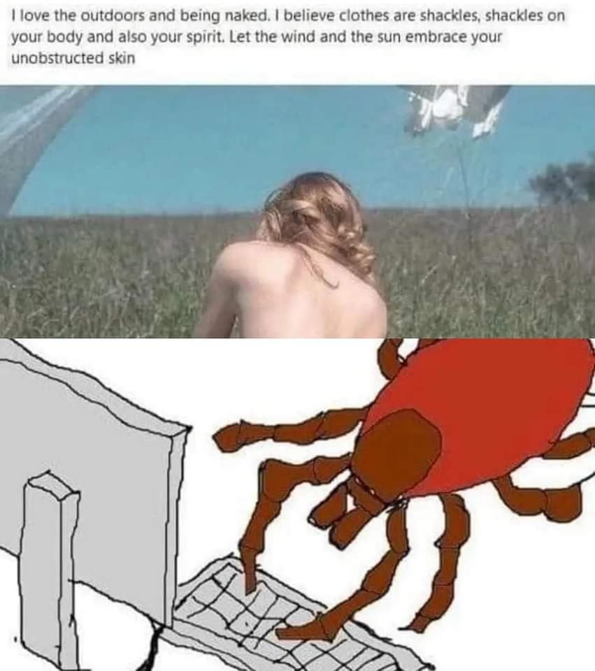 Obrázek nepoustejte kliste na net