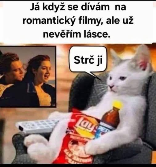 Obrázek neromantika