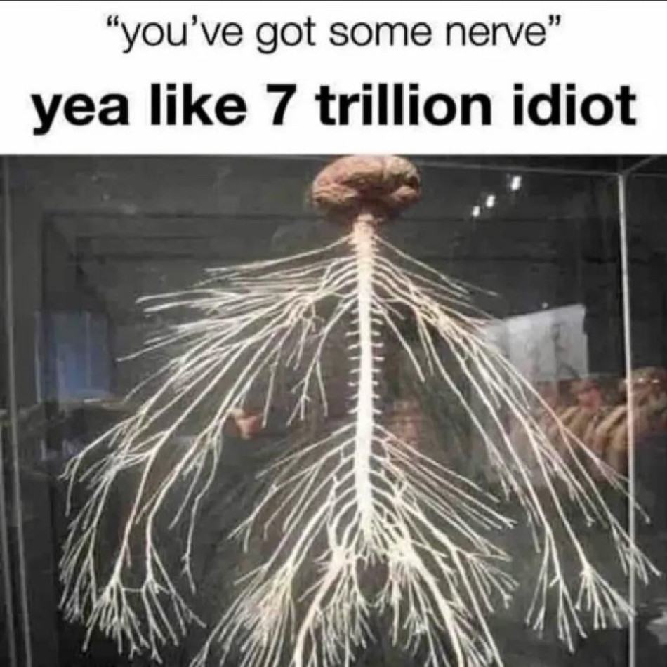 Obrázek nerve&nbsp;9cfa142d-a6fe-4bce-948d-ea6a58bdb938