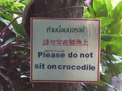 Obrázek nesedat na krokodyla