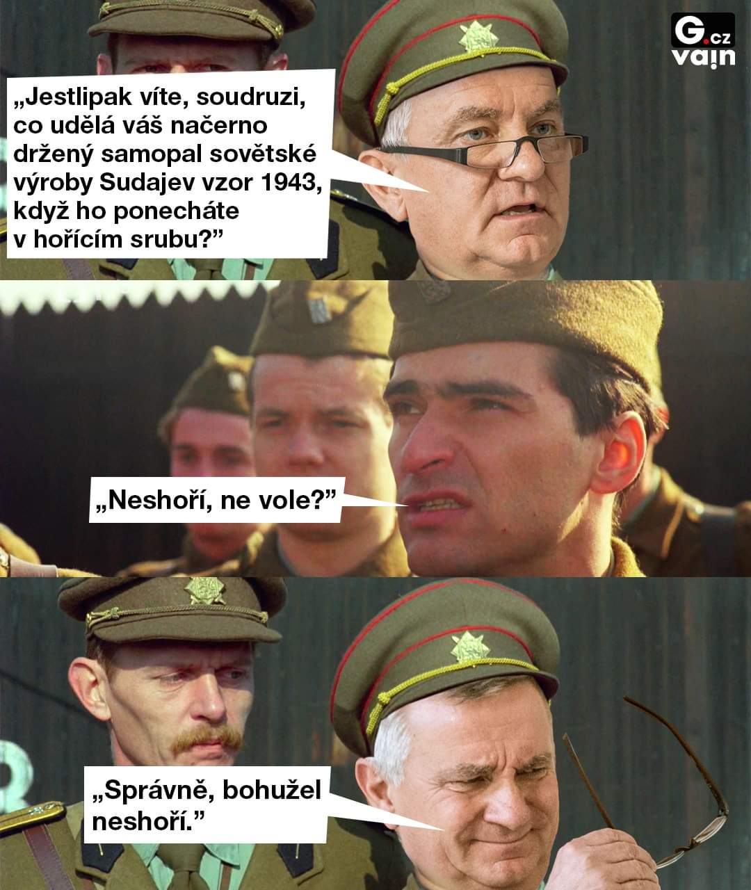 Obrázek neshori1