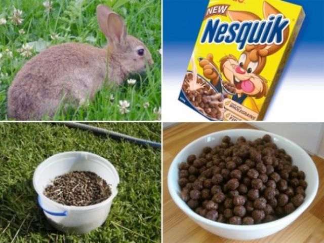 Obrázek nesquik