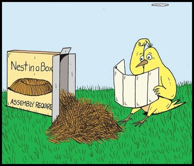 Obrázek nest in a box