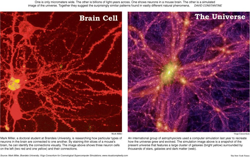 Obrázek neuron-galaxy