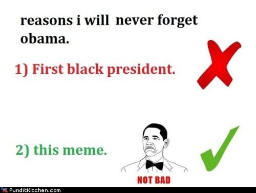 Obrázek never forget obama