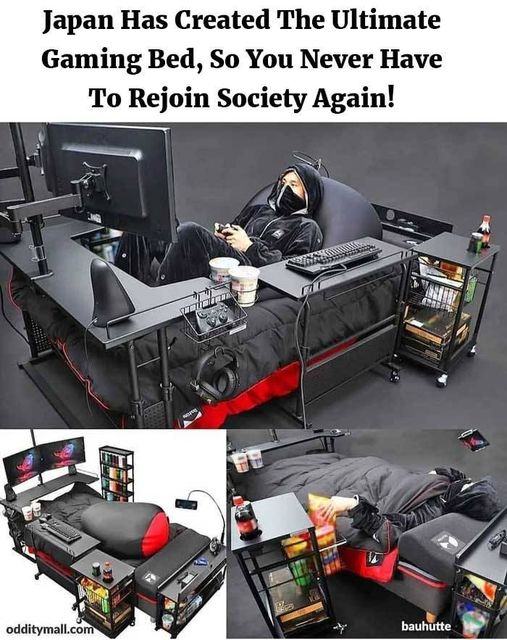 Obrázek never have to rejoin society again