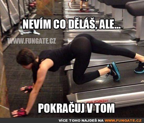 Obrázek nevipok