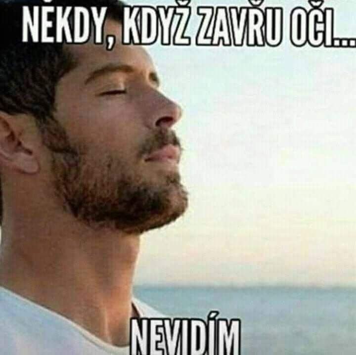 Obrázek neviza