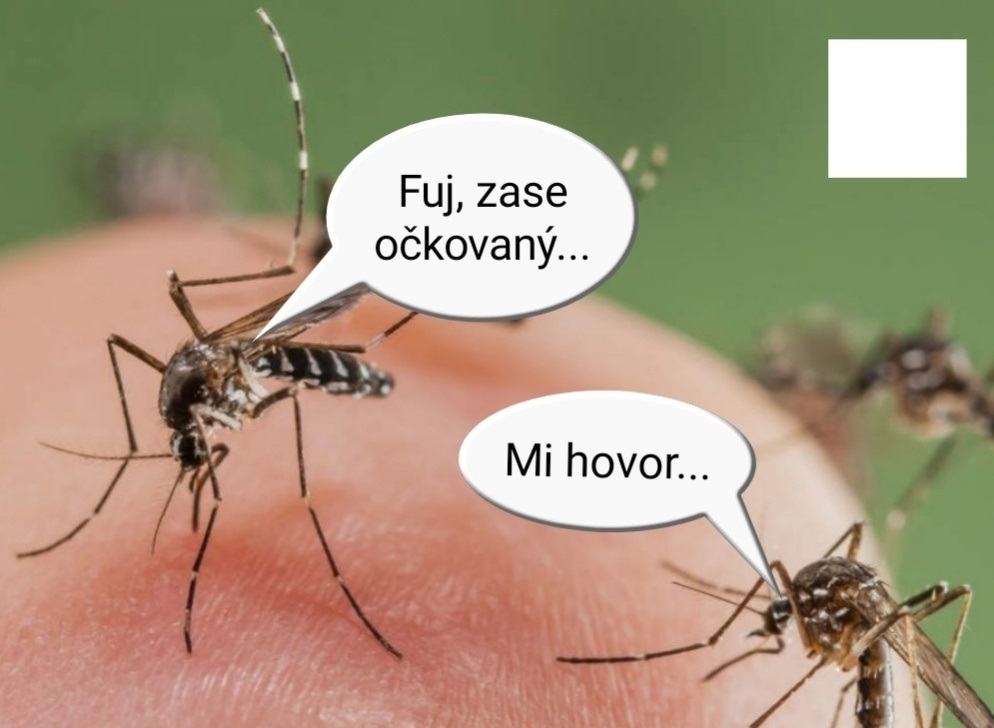 Obrázek nevockuj   sa