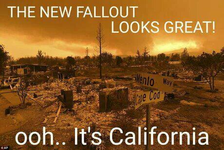 Obrázek new fallout