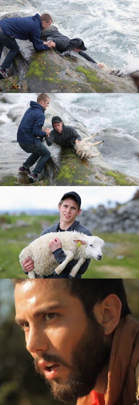 Obrázek next lamb rescue