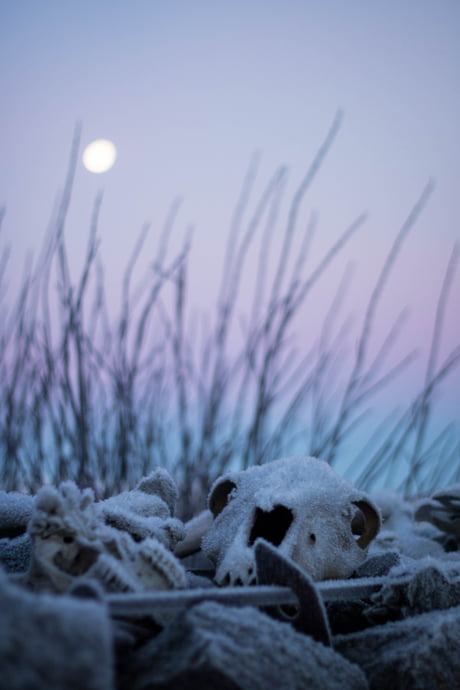 Obrázek nic&nbsp;nez&nbsp;zima&nbsp;ani&nbsp;brambor&nbsp;neni