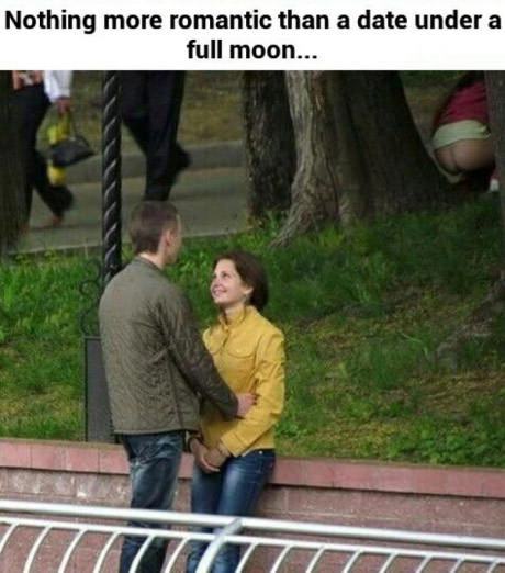 Obrázek nice romantic eveng under the full moon