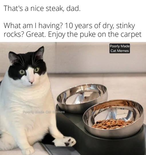 Obrázek nice&nbsp;steak&nbsp;dad