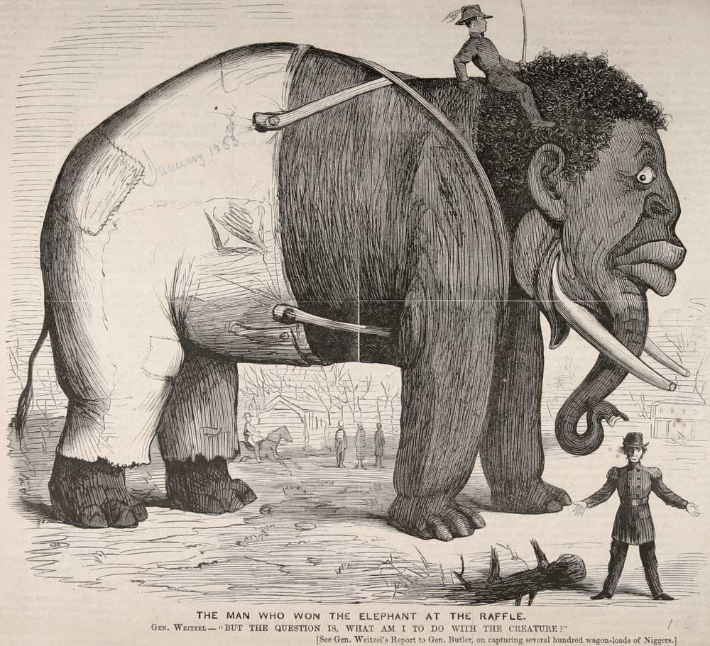Obrázek nigger elephant
