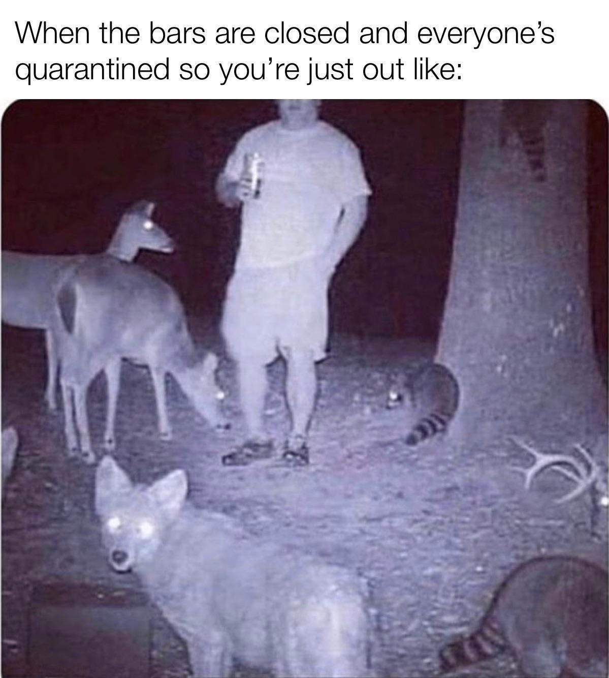Obrázek night out