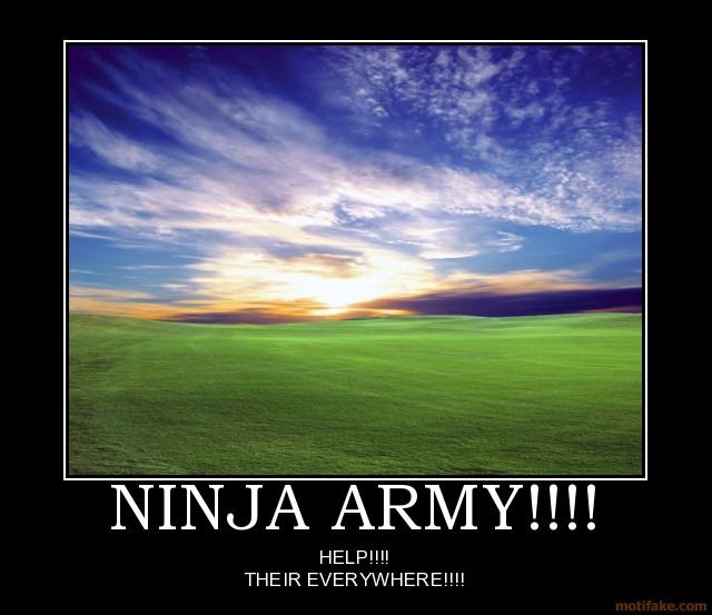 Obrázek ninja-army-demotivational-poster-1217432076