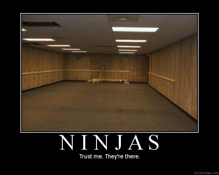 Obrázek ninjas-demotivational-invisible