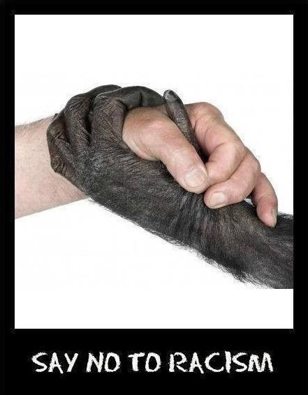 Obrázek no racism