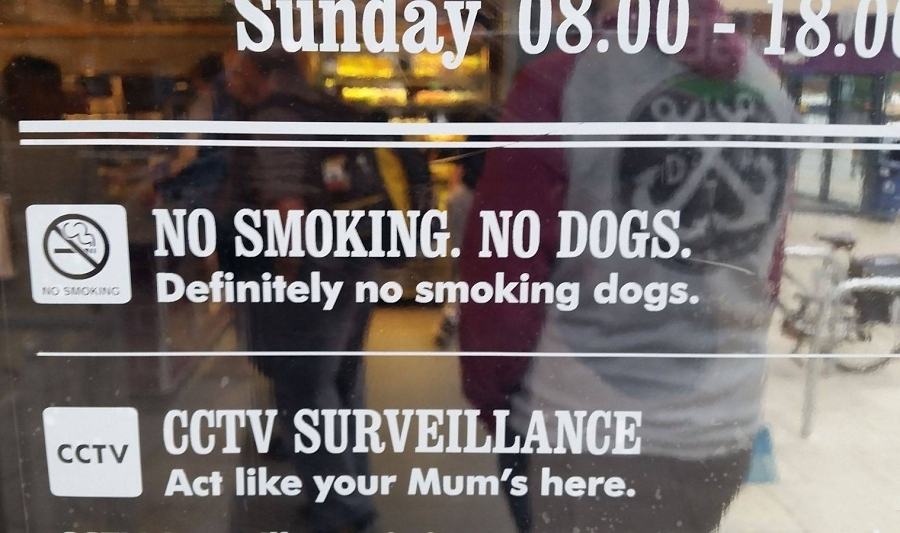 Obrázek no smoking - no dogs