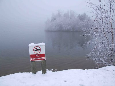 Obrázek no swimming