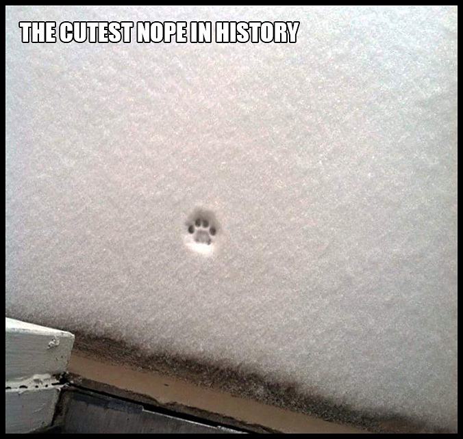 Obrázek nope&nbsp;in&nbsp;history