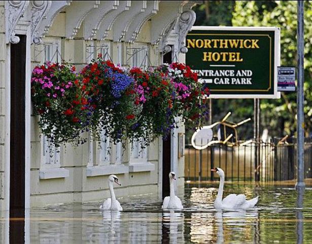 Obrázek northwick hotel