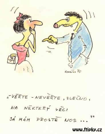 Obrázek nos na neco