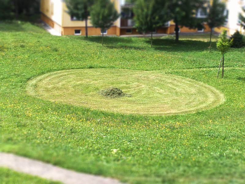 Obrázek novy fenomen - kruh v trave