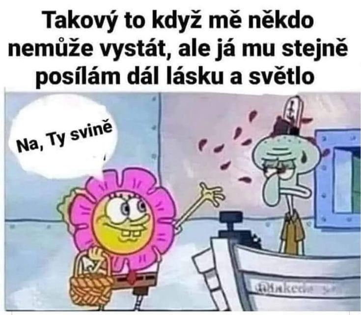 Obrázek nts