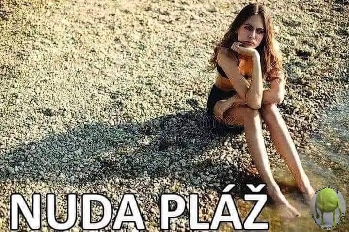Obrázek nuda plaz