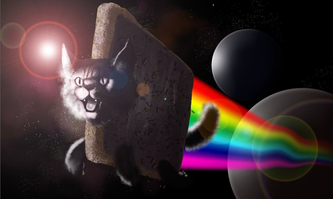 Obrázek nyan cat